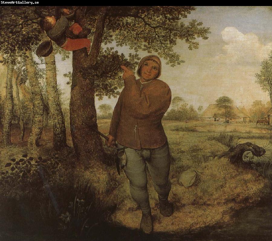 Pieter Bruegel From farmers and Selenocosmia